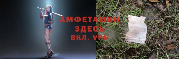 прущие грибы Новозыбков