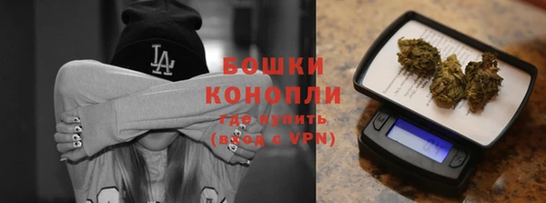 дурь Новодвинск