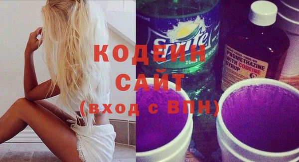 прущие грибы Новозыбков