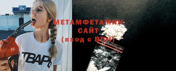 прущие грибы Новозыбков