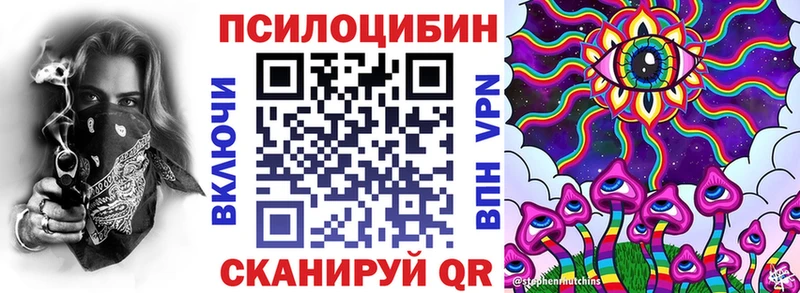 blacksprut ссылки  купить наркоту  Невельск  Галлюциногенные грибы мицелий 