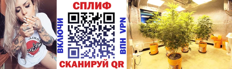 Канабис Amnesia  kraken tor  Невельск 